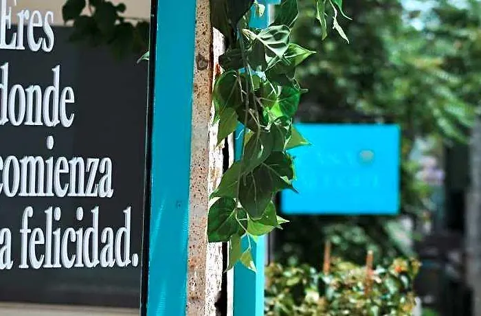 Casa Alegre Hotel Alacati